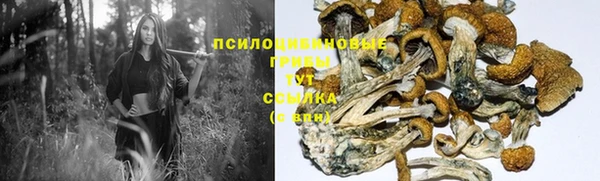 ECSTASY Рославль